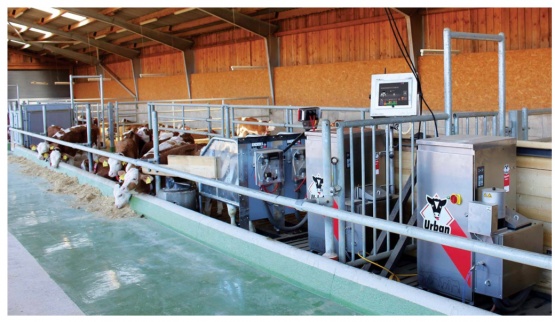 Автоматическая кормушка для телят